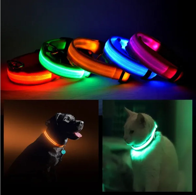 LED Safety Halo Collar – Illuminated Pet Collar for Night Visibility - Penuel's Paw