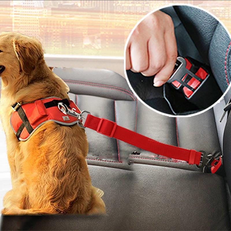 SafePaw Dog Car Safety Leash & Telescopic Belt - Penuel's Paw