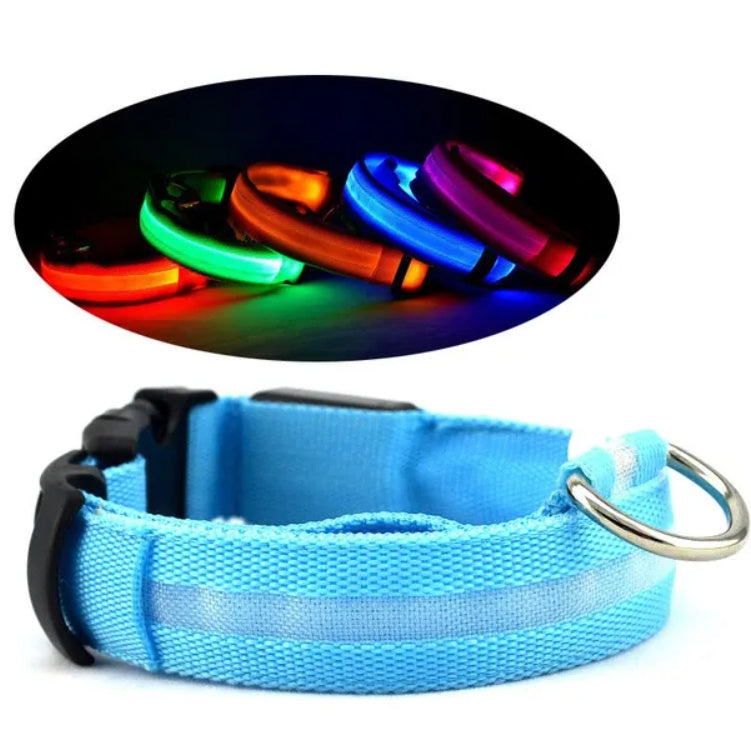 LED Safety Halo Collar – Illuminated Pet Collar for Night Visibility - Penuel's Paw
