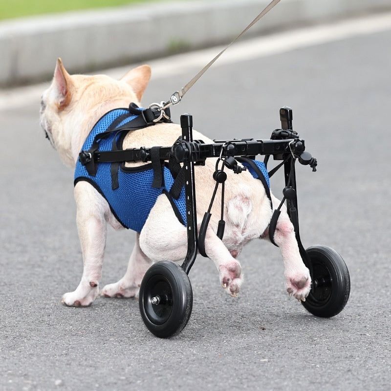Adjustable Dog Wheelchair – Mobility Scooter for Disabled Pets