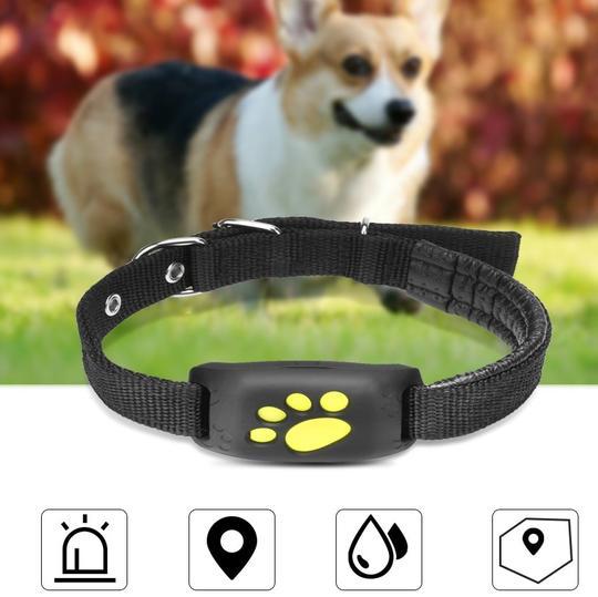 GPS Pet Tracker – Real-Time Location & Safety Device for Pets - Penuel's Paw