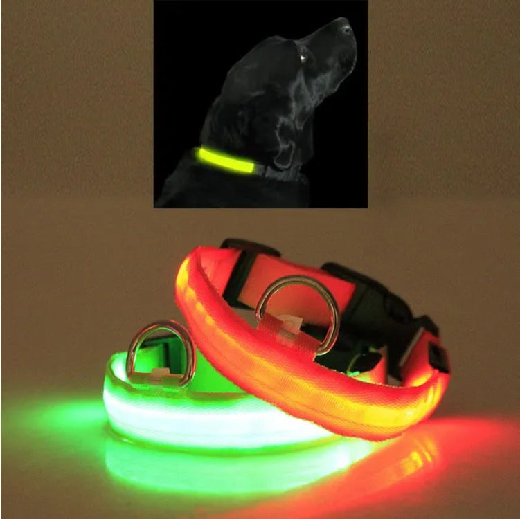 LED Safety Halo Collar – Illuminated Pet Collar for Night Visibility - Penuel's Paw