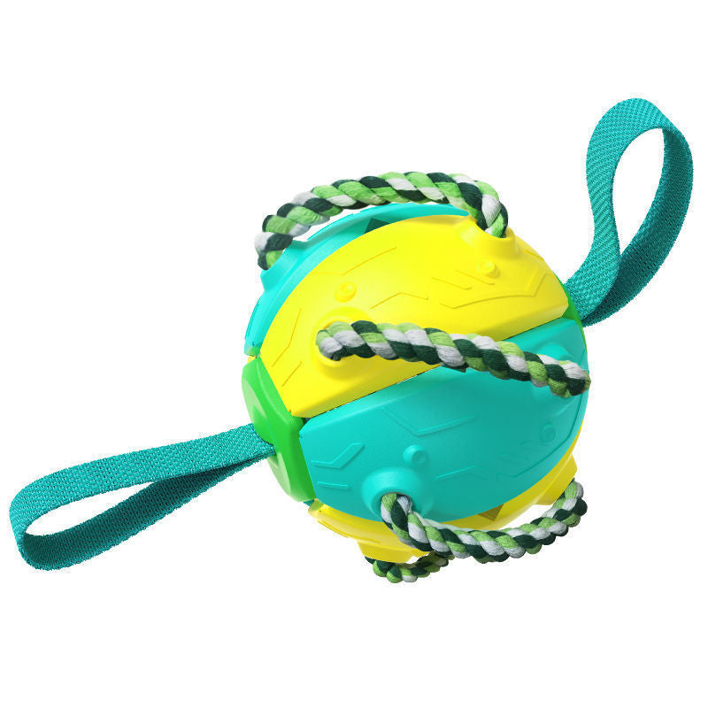 PawsKick Interactive Dog Sport Ball
