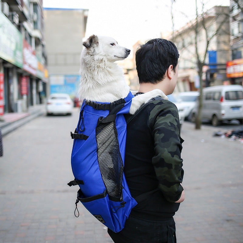 PawVoyage Dual-Shoulder Pet Carrier Backpack - Penuel's Paw