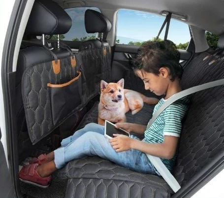 TravelGuard 3-in-1 Pet Car Mat - Penuel's Paw
