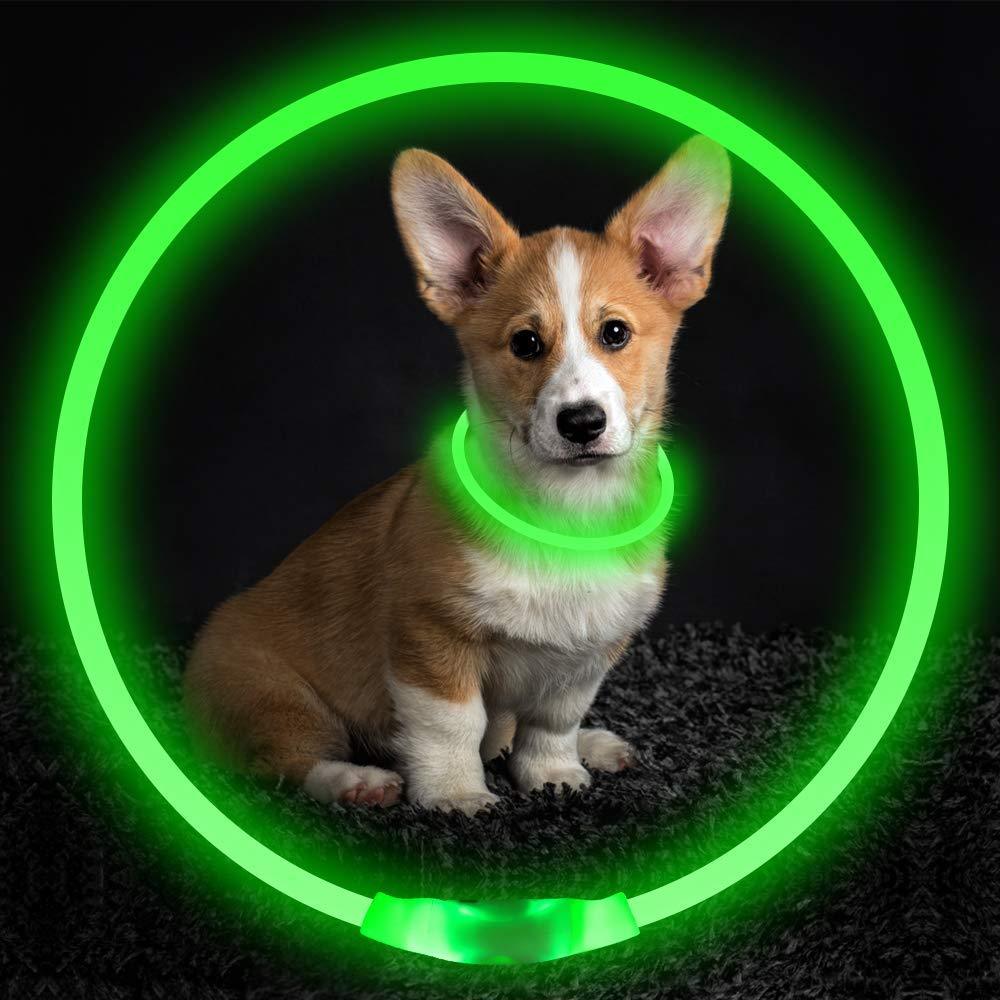 GlowGuard LED Pet Collar - Penuel's Paw