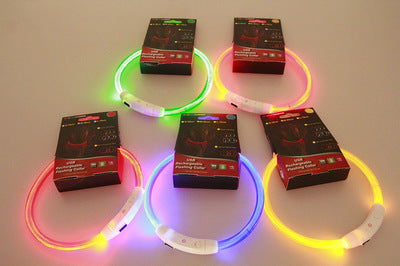 GlowGuard LED Pet Collar